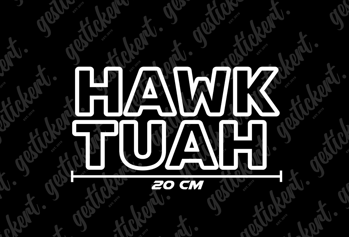 1x 20 cm Hawk Tuah Aufkleber